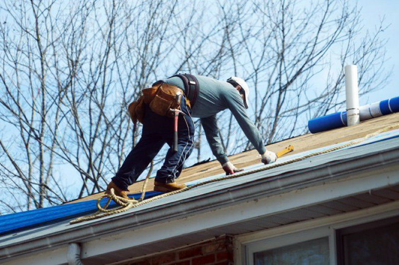 DuPont Roof Repair