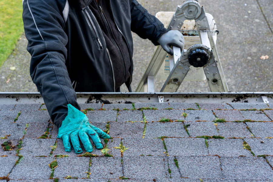 Puyallup Roof Care